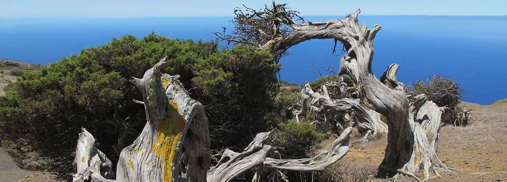 https://conquienviajas.es/viajes/assets/upload/d18.jpg